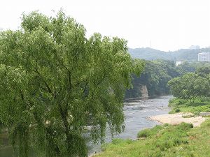 画像 006.jpg