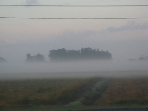 IMG_5823.jpg