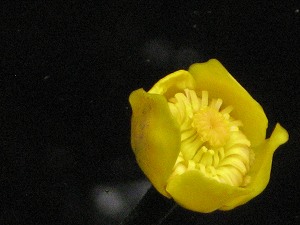 IMG_3897.jpg