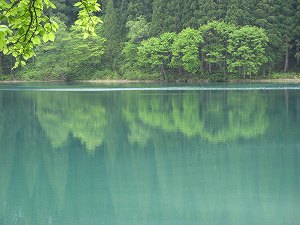 IMG_3421.jpg
