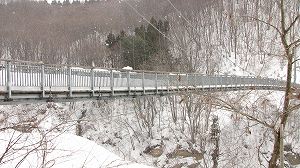 IMG_8717.jpg
