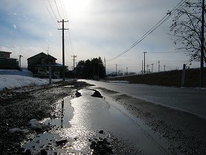 IMG_1109.jpg