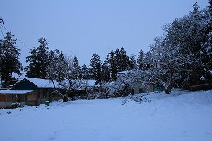 IMG_9854.jpg