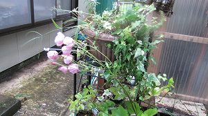 画像 029.jpg