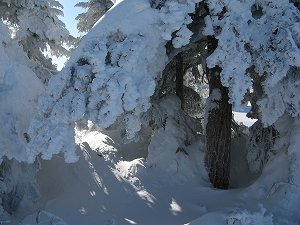 画像 022.jpg