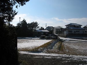 IMG_8261.jpg