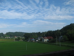 IMG_4033.jpg