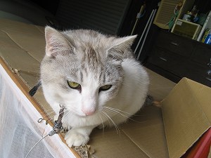 画像 058.jpg