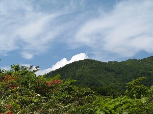 画像 145.jpg