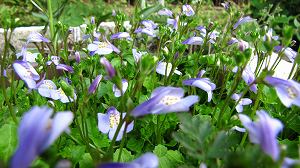 IMG_1269.jpg