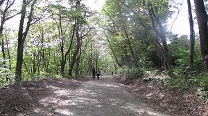 画像 028.jpg