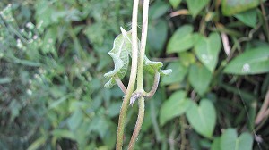 IMG_6834.jpg