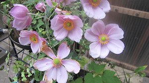 画像 020.jpg