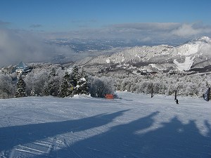 画像 029.jpg