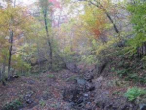 IMG_6652.jpg