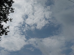 IMG_5071.jpg