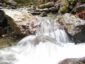 IMG_6658.jpg