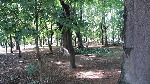 IMG_5927.jpg