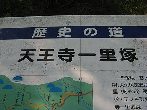 IMG_3918.jpg