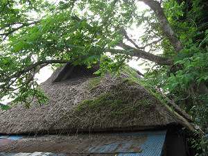 IMG_3923.jpg