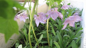 画像 060.jpg