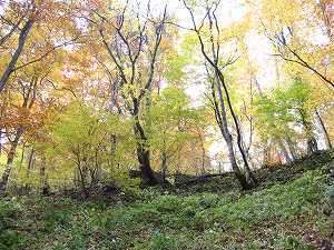 IMG_6662.jpg