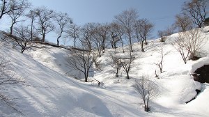 IMG_9995.jpg
