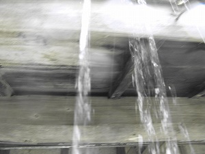 画像 097.jpg
