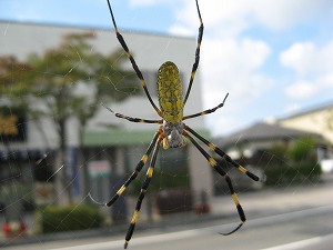 IMG_5909.jpg