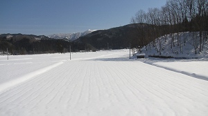 IMG_9856.jpg
