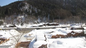 IMG_9861.jpg