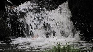 IMG_6524.jpg