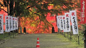画像 003.jpg