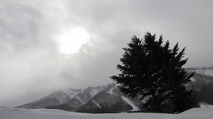 IMG_9614.jpg