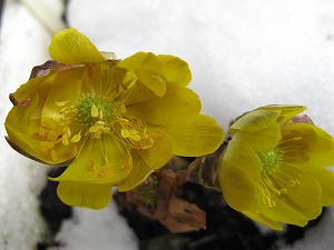 画像 059.jpg