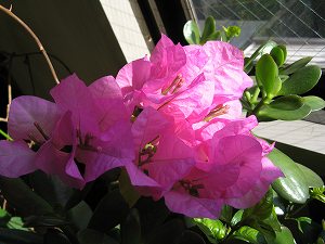 画像 077.jpg