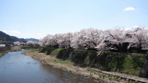 画像 117.jpg