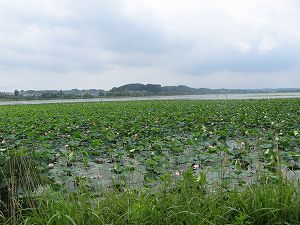画像 052.jpg