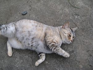 画像 030.jpg
