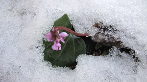 画像 057.jpg