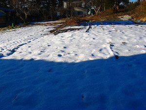 IMG_1073.jpg