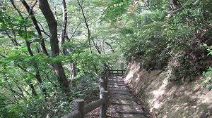 画像 012.jpg