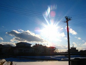 IMG_1074.jpg