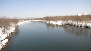 IMG_9879.jpg