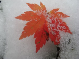 画像 033.jpg