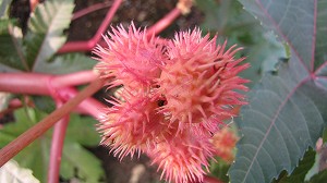 IMG_5055.jpg