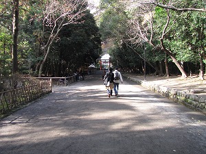 画像 403.jpg