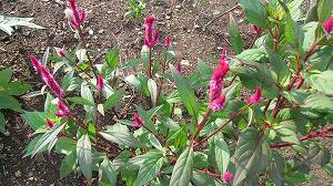 IMG_5054.jpg
