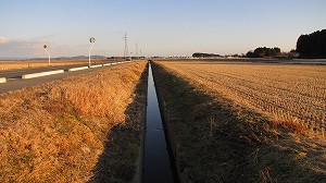 IMG_9465.jpg