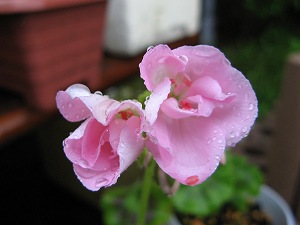 画像 030.jpg